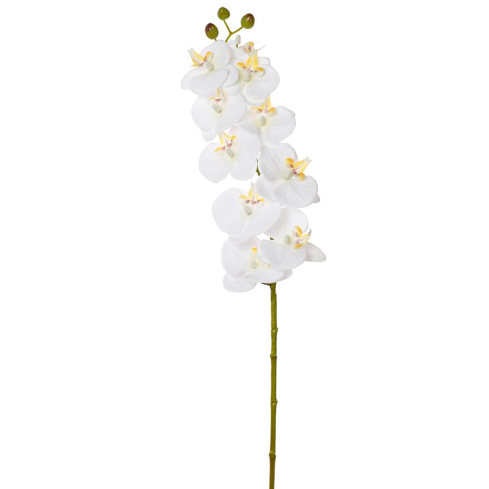 ORCHID bílá 77CM_1